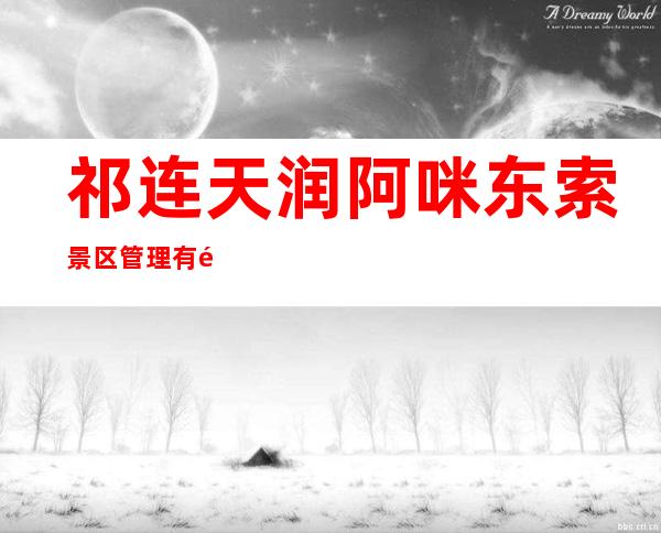 祁连天润阿咪东索景区管理有限公司